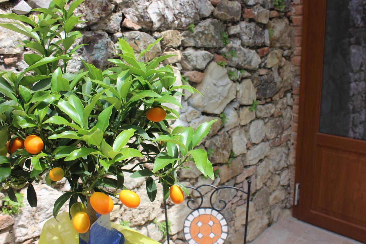 B&B Canneto Monteverdi Marittimo Kültér fotó