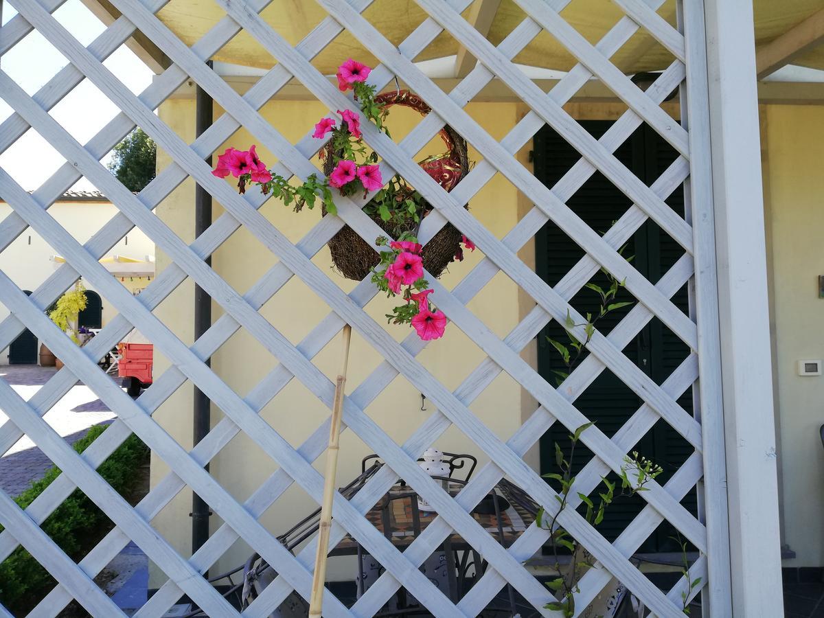 B&B Canneto Monteverdi Marittimo Kültér fotó
